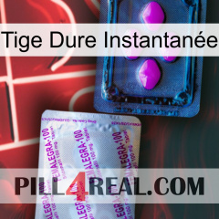 Tige Dure Instantanée 37